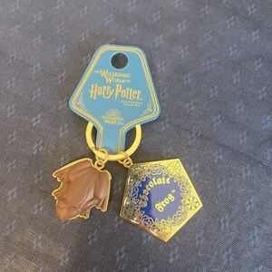 Universal studio Orlando parks Harry Potter chocolate Frog keychain